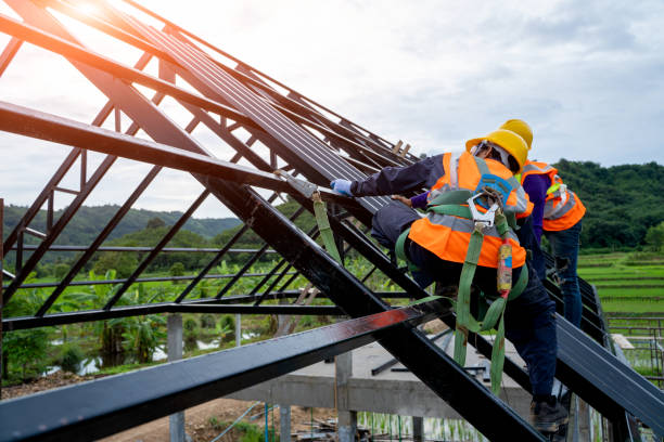 Roof Gutter Cleaning in Parklawn, CA